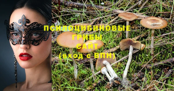 PSILOCYBIN Алексеевка