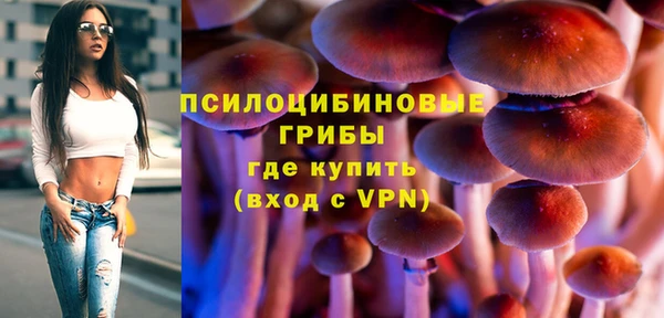 мяу мяу мука Алексин