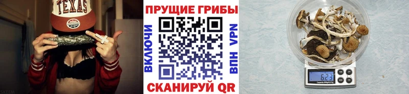 Псилоцибиновые грибы GOLDEN TEACHER площадка формула Собинка